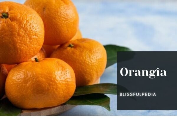 Orangîa